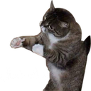 mz_343 Discord Emoji from #- thunder server