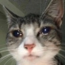 waaaaaa Discord Emoji from 𝐟ailed abortion𝐬 ♡ !  .