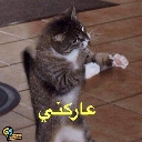 emoji_26 Discord Emoji | 𝘿3𝙎 𝙈𝘾