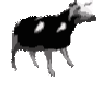 cowdance animated GIF emoji - ꒰১Angelic Hangout ໒꒱
