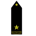 Military rank epaulette with a gold star on a black background.