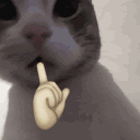 Cat with a pointing finger emoji overlaid on its face in a four-panel sequence.