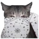 8089whitebandanacat1 custom emote from CommunityOne Builders Help