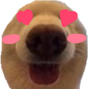 dognau3 custom emote | 𝘙𝘌𝘈𝘓𝘐𝘛𝘠 𝘈𝘞𝘈𝘐𝘛𝘚... but after 24.7