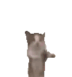 happykitty animated GIF emoji from ┃.............┃ • ┃ ☆ ┃ • ┃.............┃