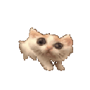 774330catscared animated GIF emoji from Sell Lemons | Roblox