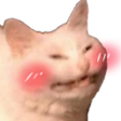 CatBlush Discord Emoji - ⋆˚𝜗 night owls 𝜚˚⋆