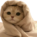 442830comfycat custom emote - 𝒂𝒖𝒓𝒂