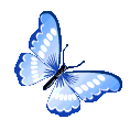 butterfly animated Discord emote from ୨୧