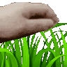 grass animated Discord emote | ATGs (All The Gamers)