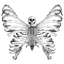 95294skeletonbutterfly custom emote - ۶ৎ　‿　cemetery　 ݁ 　˖