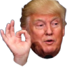 face_trump_ok Discord Emoji from Bitplay