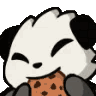 Panda with black and white fur happily chewing on a chocolate chip cookie.