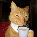 cat_coffee Discord Emoji - Jushoka