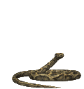 emoji_60 animated GIF emoji from ☘ 𝕄𝕀𝔻ℕ𝕀𝕄𝕆 ☘