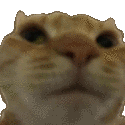 catlacdau animated GIF emoji - Reality Awaits