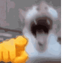 143736catlaugh1 animated Discord emote from Kings