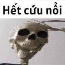 A skeleton skull looking directly at the camera with the text Hết cứu nổi written above it.