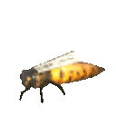 queenbee animated GIF emoji - Valheim RU