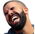 drake custom emote | FriendZone | Make Friends ⋅ Fun Chill Active Chat ⋅ VC Social Gaming ⋅ Memes ⋅ Nitro Emojis ⋅ Anime
