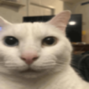 9455racist custom emote - Развратные отшельники