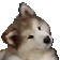 etcDoggoWonder animated emote | ୨ Caféx ୧／Social  ﹒ International ﹒Nitro﹒pfps﹒Fun (Masti)