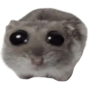 SadHamster Discord sticker | RIZZ HEAVEN | Chill • Hangout • VC • SFW • Events • Friends • Giveaways • Ask to DM • Non Dating