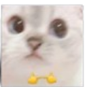 catoshy Discord sticker | Besties Community