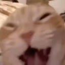 emoji_21 Discord Emoji - # ` 𝗚𝗮𝗺𝗘 𝗢𝘃𝗲𝗥 𝗠𝗖