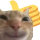 DE_cat_like custom emote - Trophy's Paradise