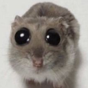 sorry Discord Emoji from {рп}~ДуРкА~{рп}
