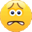 55_worried animated Discord emote from PokéChill🍯