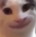 MSH45 custom emote - Vortex Gaming