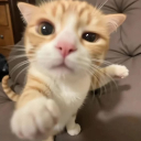 KittyPUNCH custom emote - The 1woners