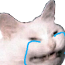 crying custom emote - ✨КиберЛапки🎮