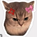 angry custom emote - TheOGweee~ Spaceship🚀