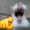 emoji_109 Discord Emoji | Dex’s Amunity