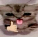 sauve custom emote | Mundo dos Animes - Br