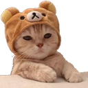 cat_bear custom emote - Hamara Server