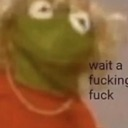 Kermit the Frog looking shocked with the text wait a fucking fuck written next to him.