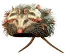 Mirefolk Discord sticker - Enclave76 | Enclave Executive Command