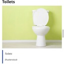 A white porcelain toilet set against a bright lime green wall.