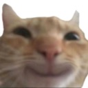 smile custom emote from Tathastu