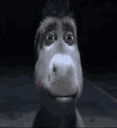 donkeystare animated Discord emote - The Z's