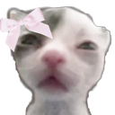 0102 Discord Emoji - ۶ৎ　‿　cemetery　 ݁ 　˖
