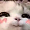 Uwu_Cat Discord sticker - Emmys Universe