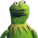 Kermit the Frog looking sideways with a skeptical and judgmental expression.