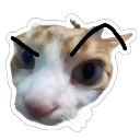 emoji_19 custom emote | ✧･ﾟ: ✧ 𝑺𝒕𝒂𝒓𝑬𝒏𝒕𝒆𝒓𝒏𝒂𝒍 ✧ :･ﾟ✧