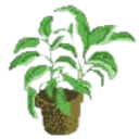 HousePlant Discord Emoji from Ink & Espresso