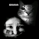 A cat looms over a person whose mouth is being covered by a hand with the text Shhhhh above them.